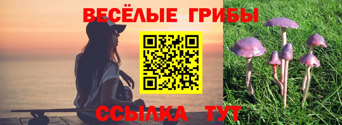 Моздок  Псилоцибиновые грибы Psilocybine cubensis  Псилоцибиновые грибы прущие грибы  цены наркотик  Вход с VPN 