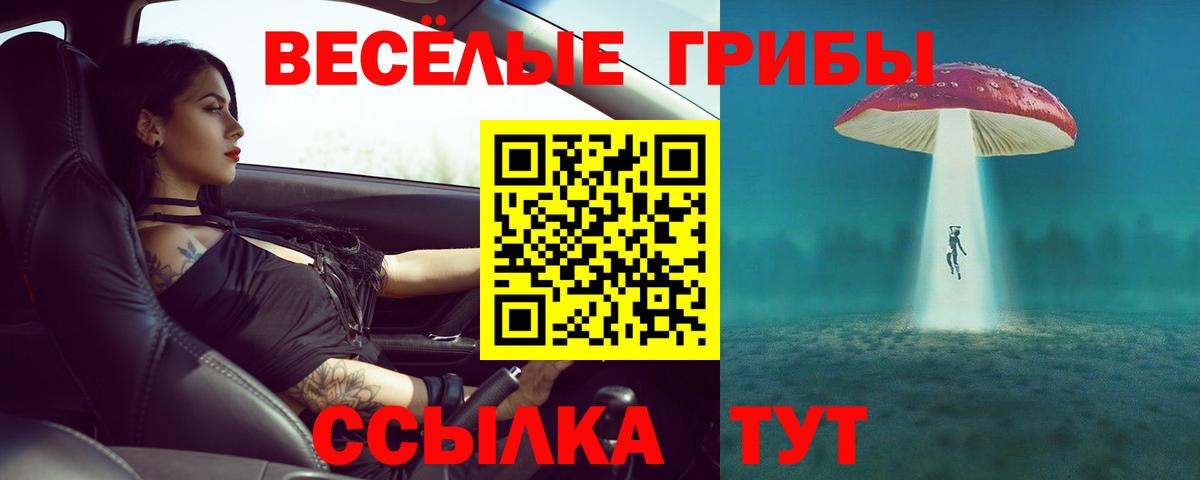 Галлюциногенные грибы Psilocybine cubensis Моздок